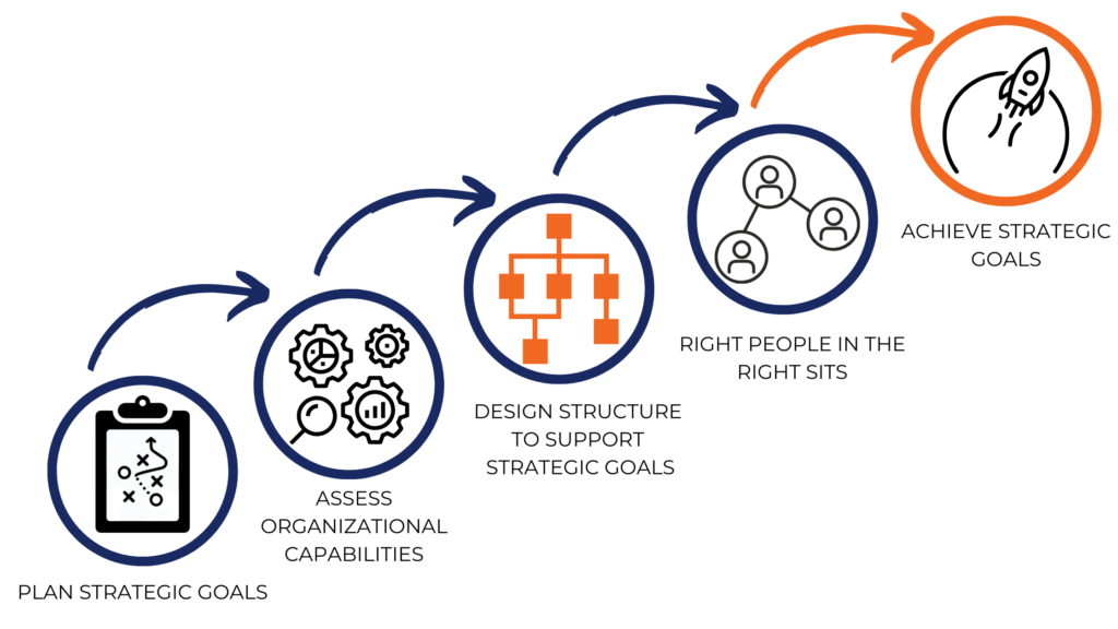 Organizational Design 